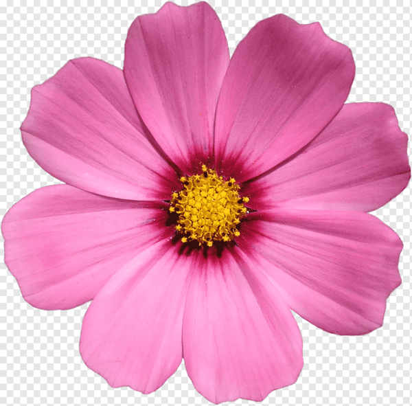 Винтажные цветы