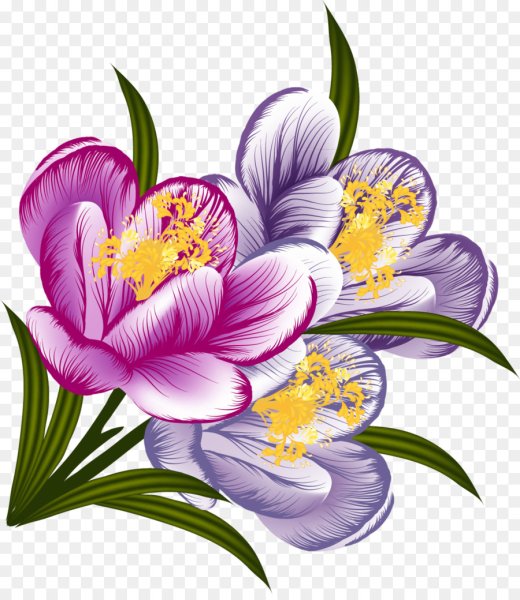 Россыпь цветов