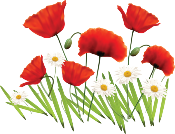 Цветы клипарт