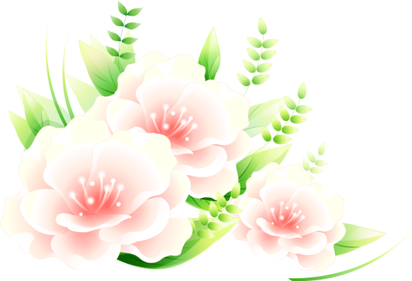 Ветка яблони