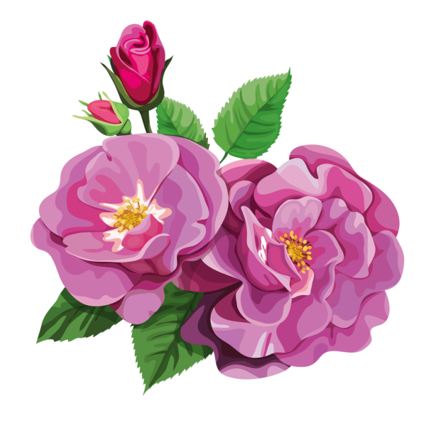 Цветочки на прозрачном фоне