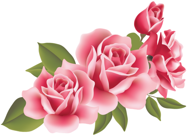 Три цветка на белом фоне