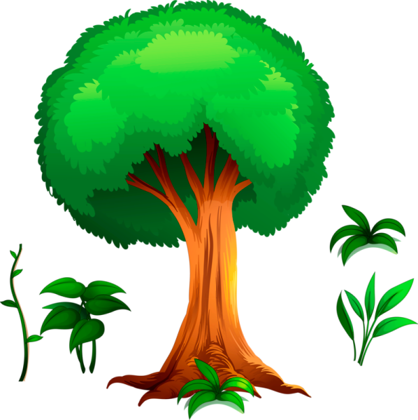 Дерево на белом фоне