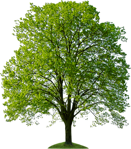 Векторное дерево