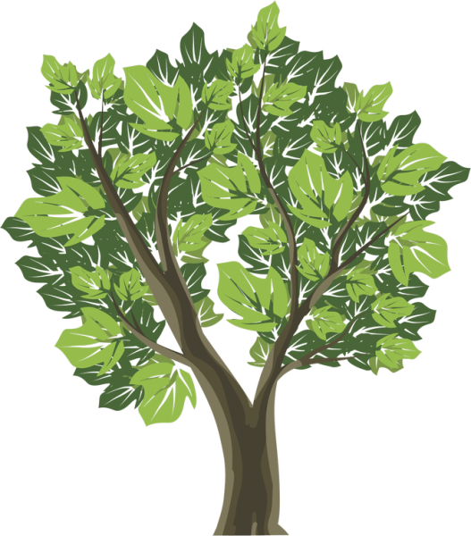 Деревья и кусты на прозрачном фоне