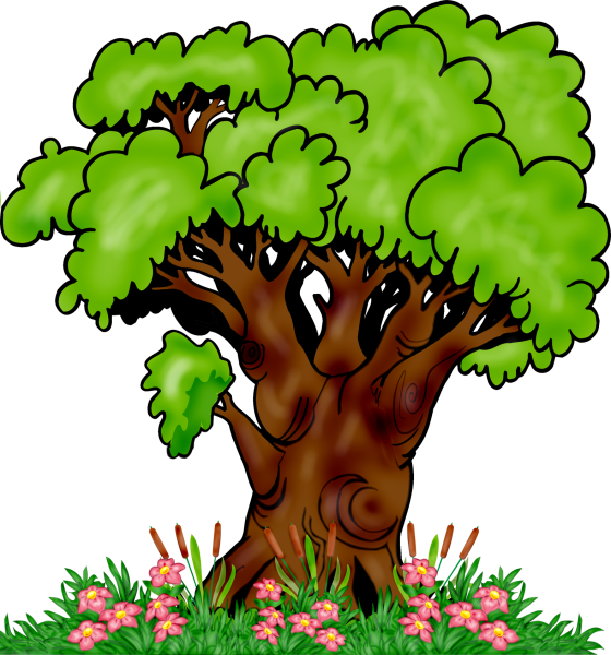 Деревья кусты