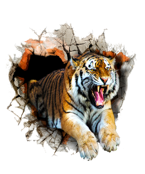 Амурский тигр