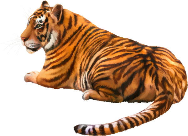 Уссурийский тигр вектор