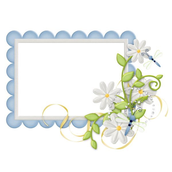 Рамочки на прозрачном фоне