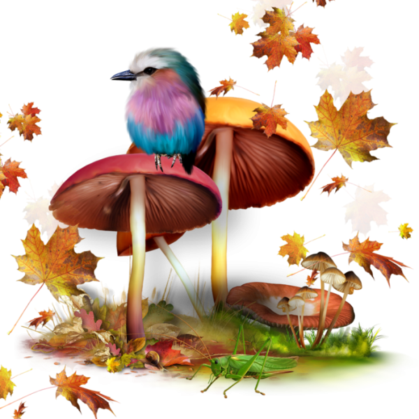 Осенний клипарт на прозрачном фоне