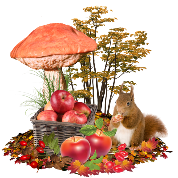 Осенний клипарт на прозрачном фоне