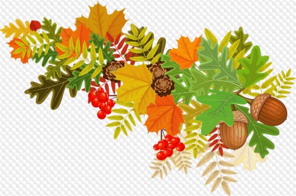 Осень листья на прозрачном фоне
