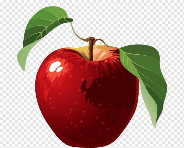 Яблоко иллюстрация