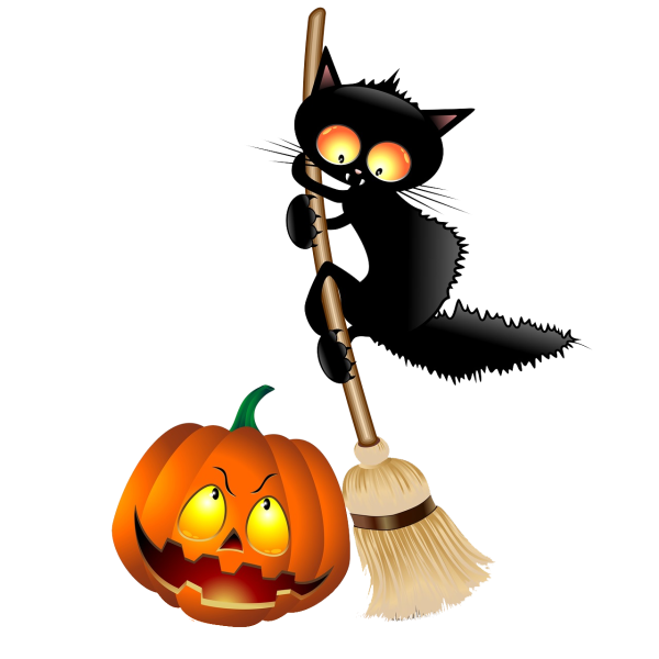 Хэллоуин кошка