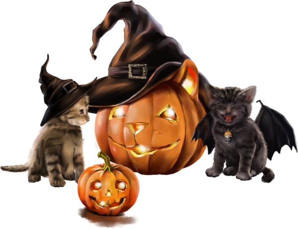 Черный кот Хэллоуин