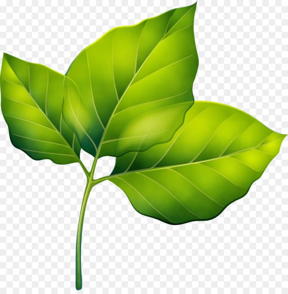 Векторные листья