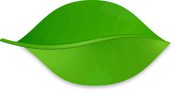 Зеленый листик