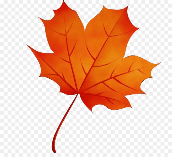 Листики осенние