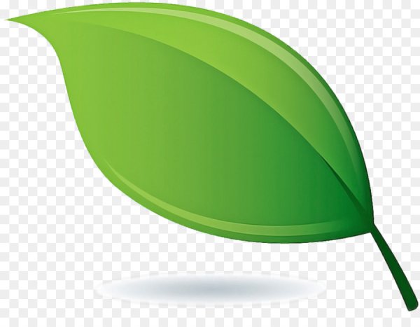 Зеленый лист