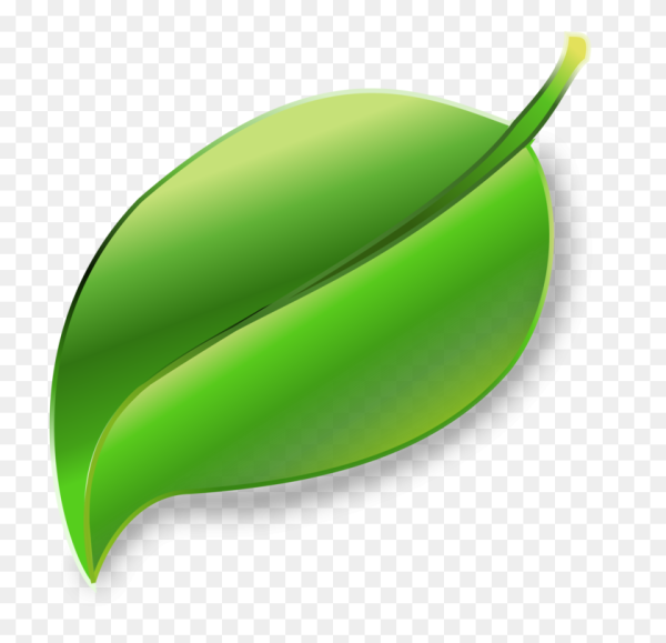 Листочки без фона