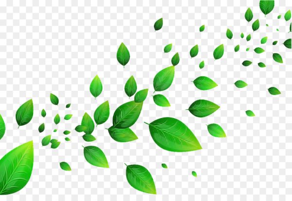 Векторные листья