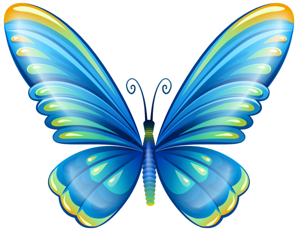 Бабочки цветные