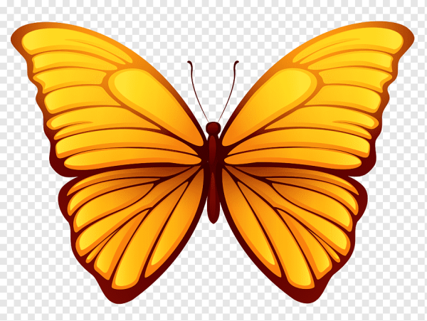 Красивый векторные бабочки