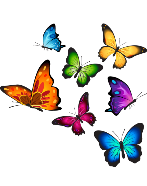 Бабочки яркие мультяшные