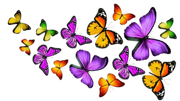 Бабочка рисунок