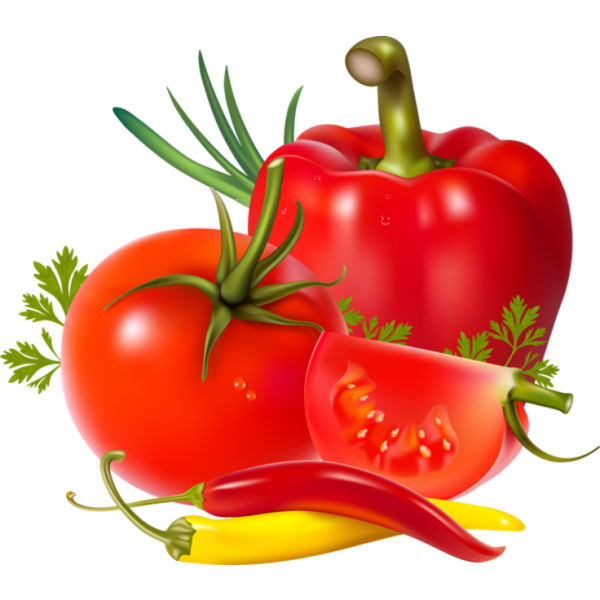 Овощи в векторном формате