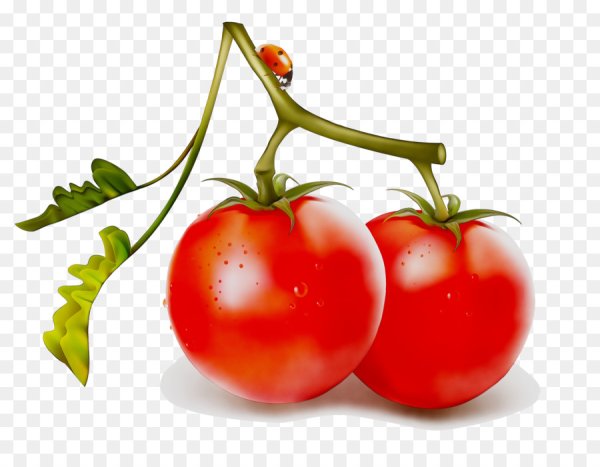 Овощи клипарт