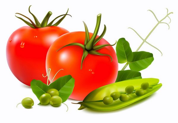 Овощи на прозрачном фоне