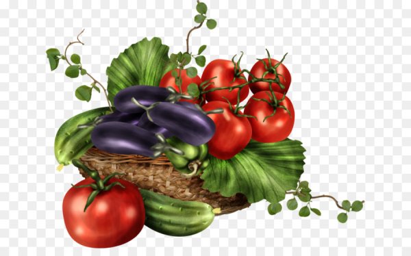 Клипарт фруктов овощей