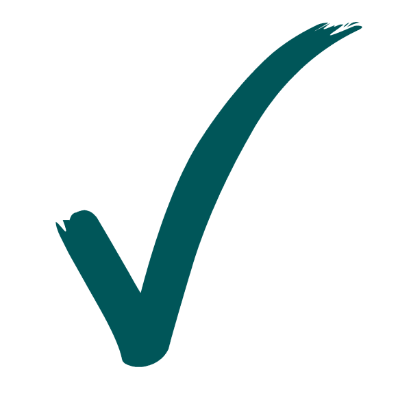 Значок галочка