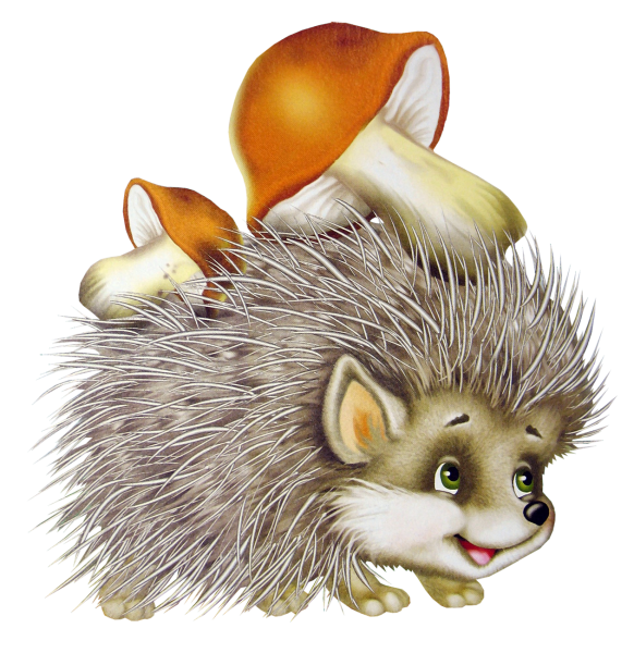 Ежик на прозрачном фоне