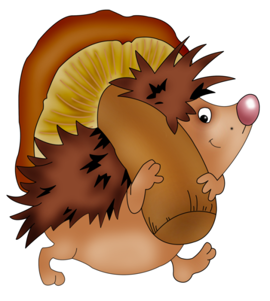 Ежик на прозрачном фоне