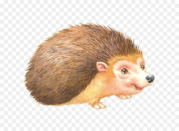 Дикие животные для детей еж