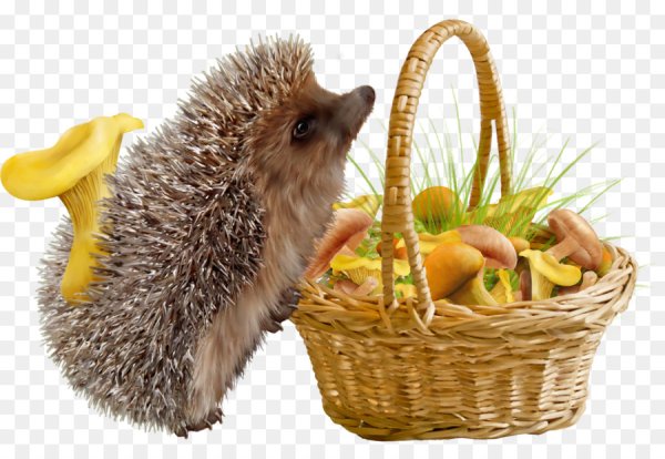 Ежик с корзинкой грибов