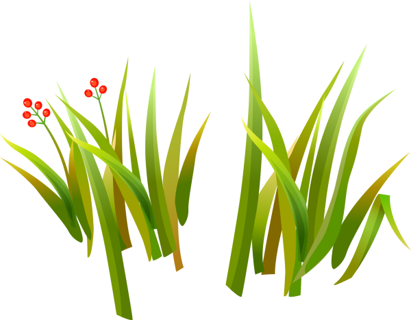 Травка для детей