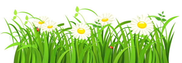 Трава мультяшная