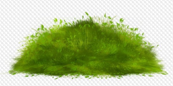 Поляна на прозрачном фоне