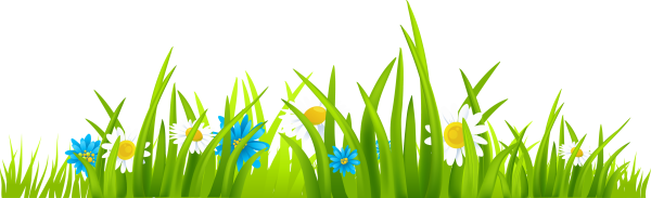 Клипарт трава на прозрачном фоне