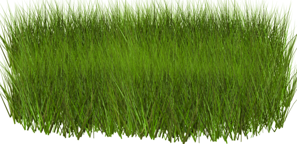 Газон на прозрачном фоне