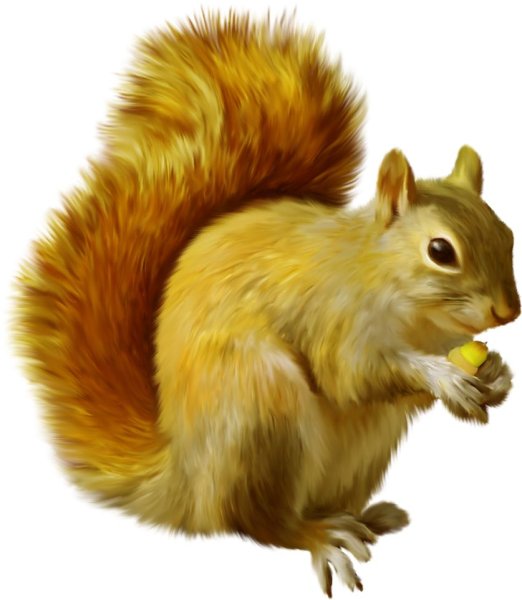 Лесные животные на прозрачном фоне