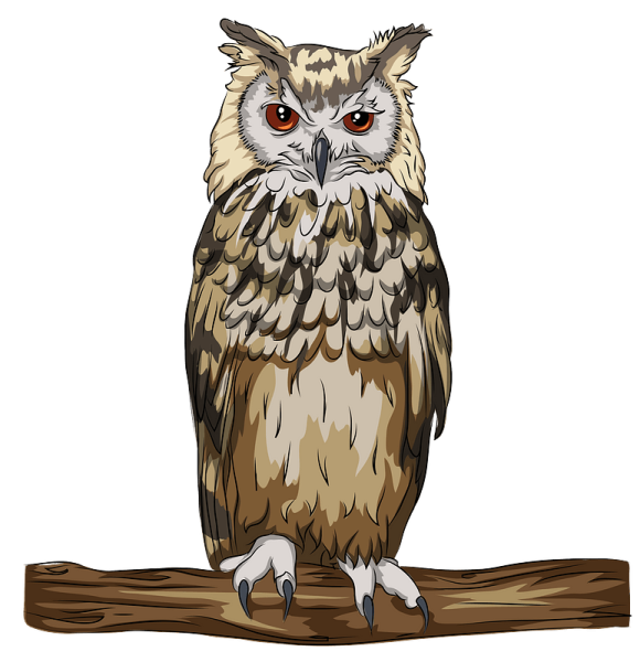 Филин для детей