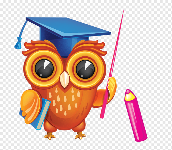 Ученая Сова