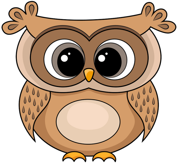 Совы мультяшные