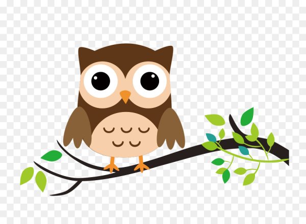 Совушки на веточке