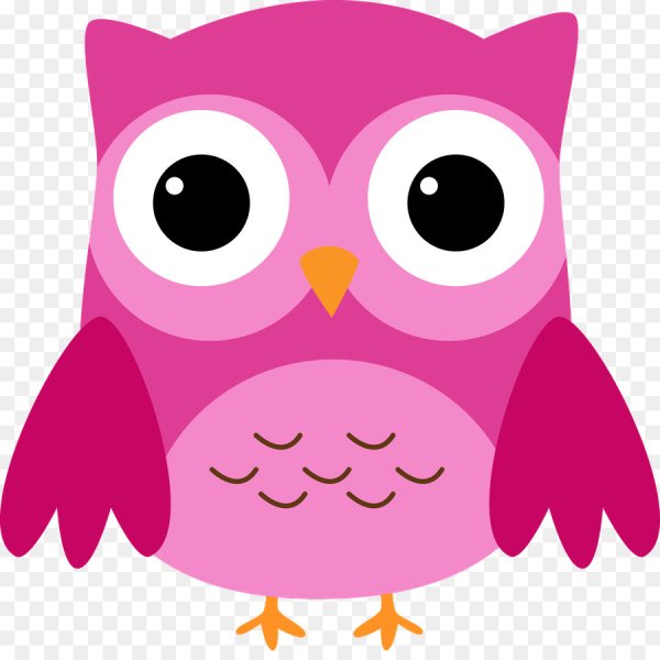 Сова клипарт на прозрачном фоне