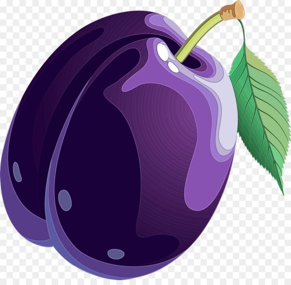 Фрукты слива